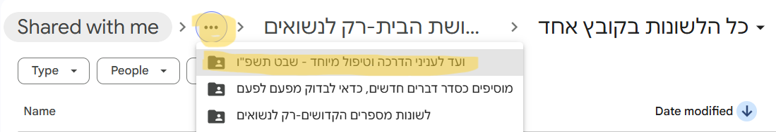 צילום מסך מתוך הוראות גישה לתיקיית Google Drive